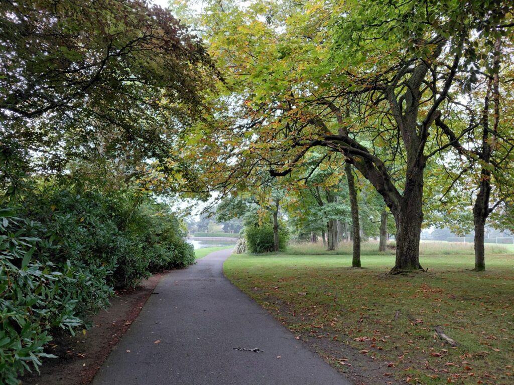 end of Summer scene in a park